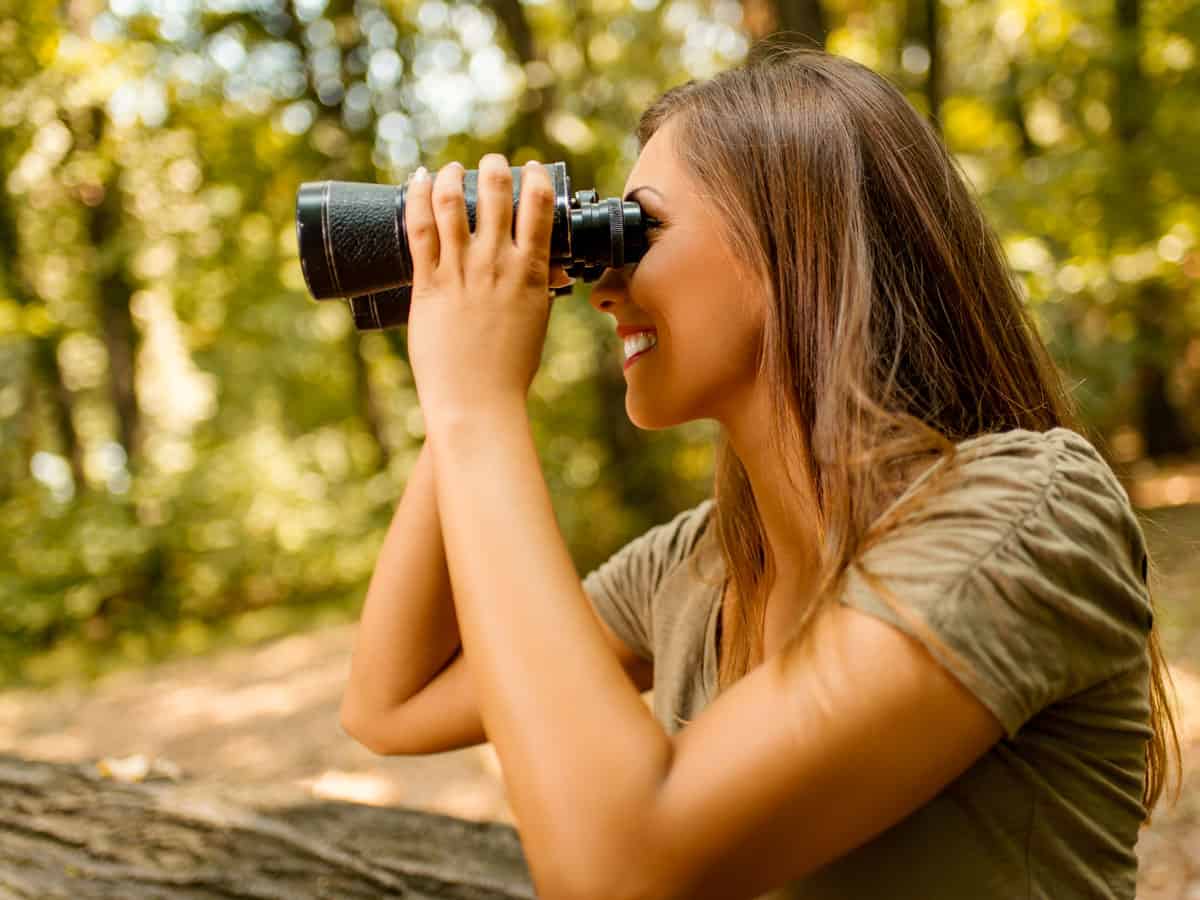 Best binoculars under 500