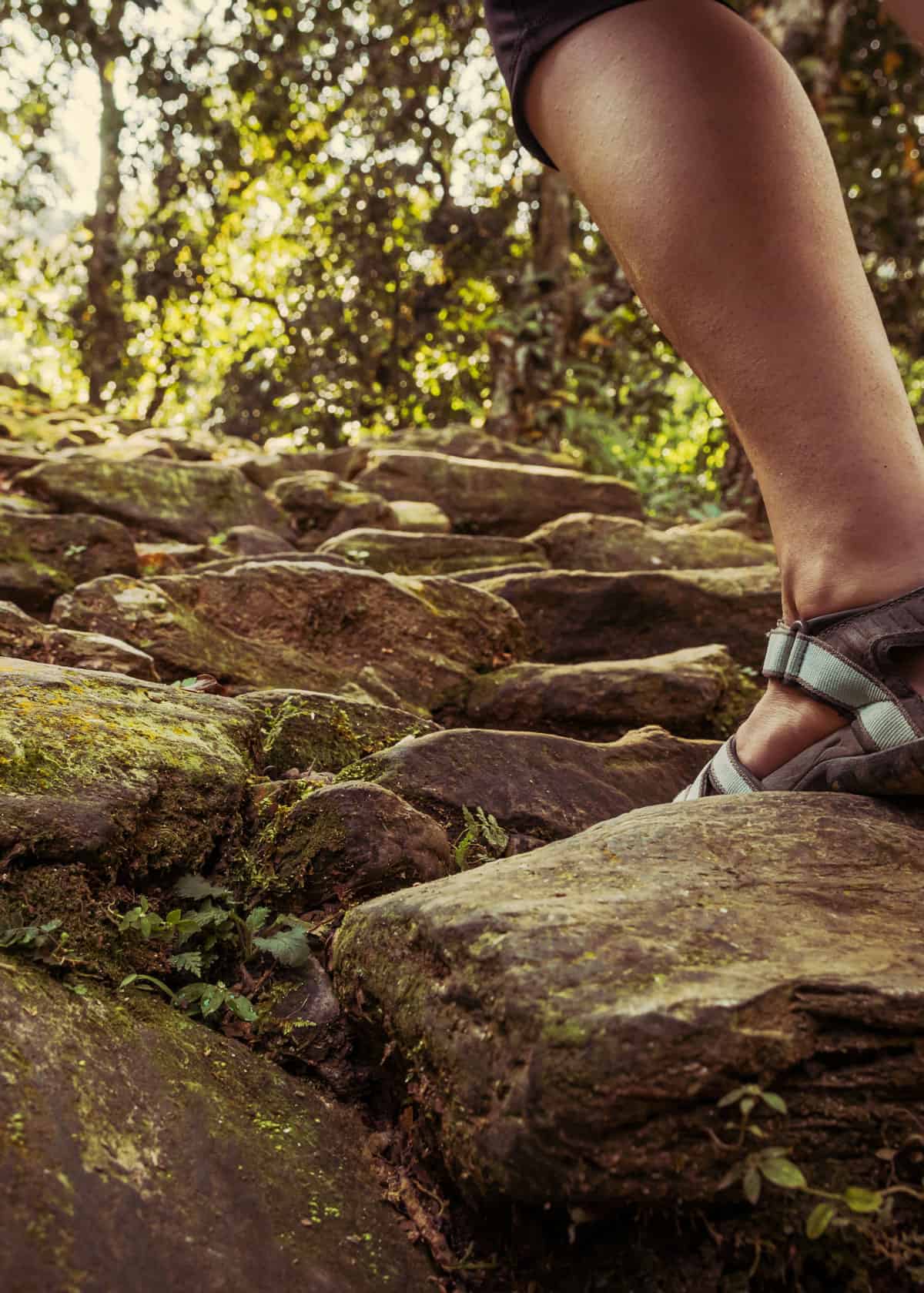 Hiking sandals for birders